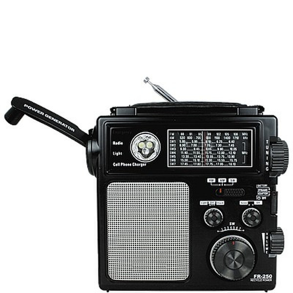 Eton FR250 Tragbar Schwarz Radio