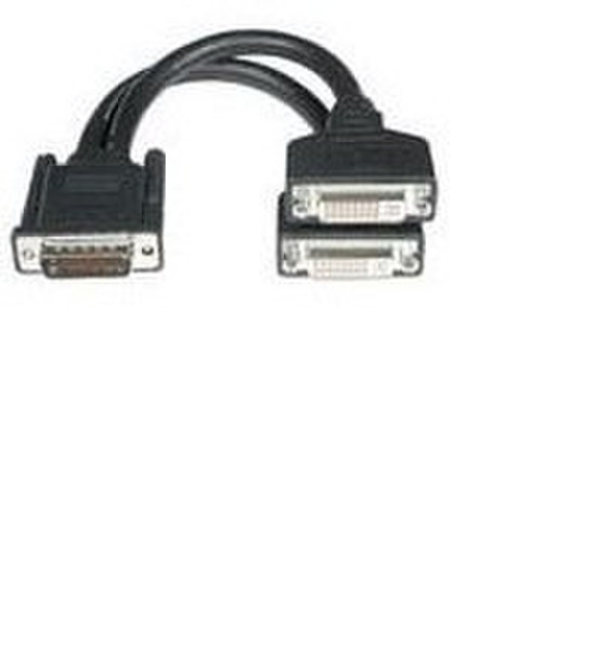 Fujitsu DVI-D / Dual DVI DVI-D Dual DVI Black cable interface/gender adapter