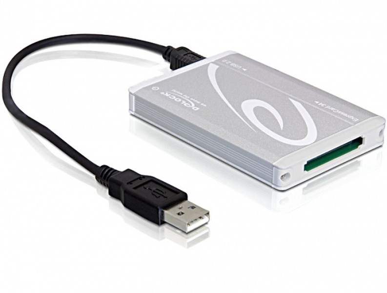 DeLOCK USB 2.0 Express Card Adapter Schnittstellenkarte/Adapter