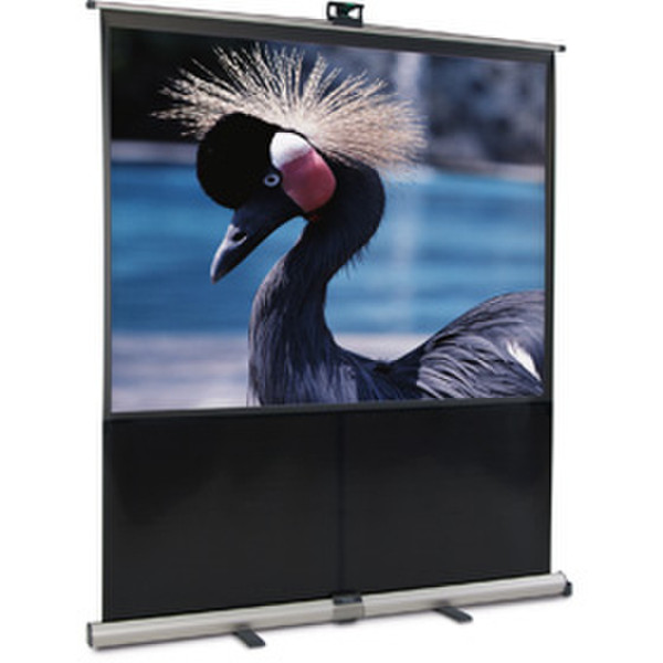 Projecta Litescreen DeLuxe 59.1