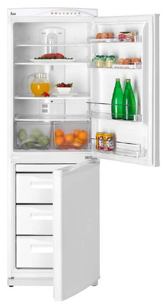 Teka NF 340 D Отдельностоящий 337л Белый холодильник с морозильной камерой