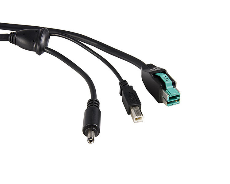 StarTech.com 12 ft 12V -> M Barrel+USB Powered USB Cable 3.66m USB B Schwarz USB Kabel