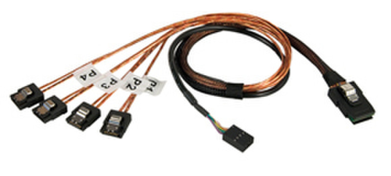 Lindy Internal SATA & SAS cable 1m SATA Black SATA cable
