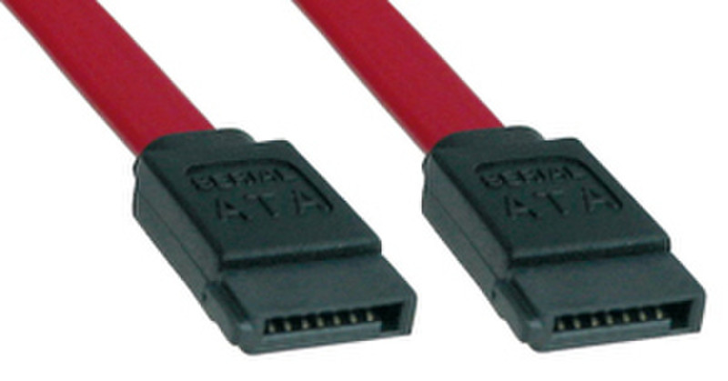Lindy 1m SATA Cable 1m SATA 7-Pin SATA 7-Pin Rot SATA-Kabel