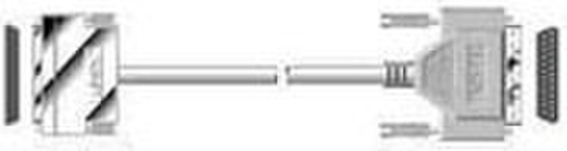 Lindy Cable connector SCSI III 0.3m 0.3m Grey SCSI cable