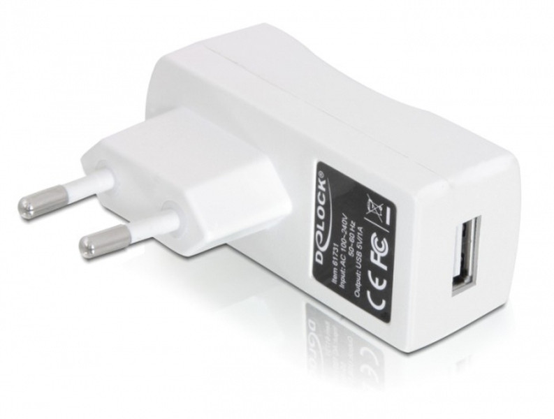 DeLOCK 1x USB Power Supply White power adapter/inverter