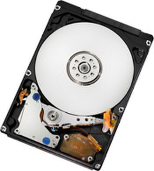 Hitachi Travelstar 5K500.B 250GB 250GB Serial ATA II internal hard drive