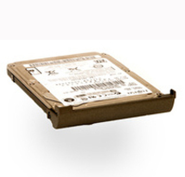 MicroStorage Primary 250GB 5400RPM 250GB Serial ATA internal hard drive