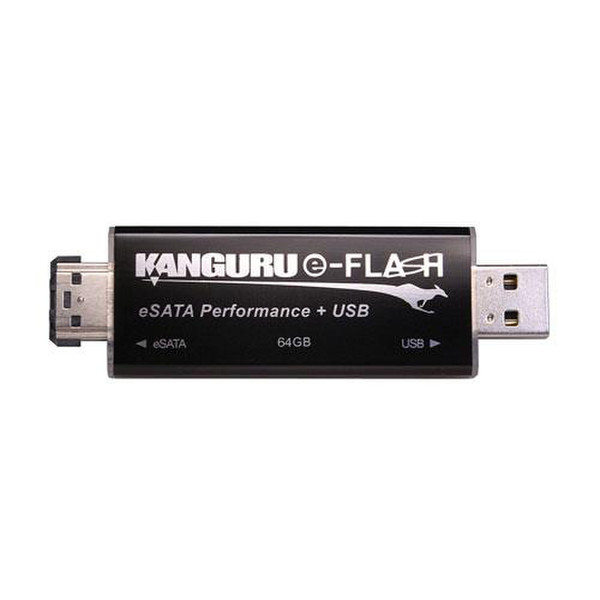 Kanguru KEFL-64G 64ГБ USB 2.0 Тип -A Черный USB флеш накопитель