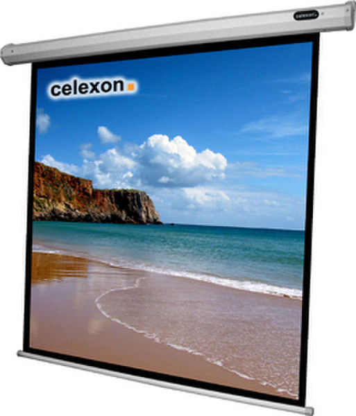 Celexon 1090066 1:1 Черный, Белый проекционный экран