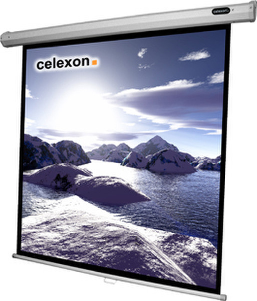 Celexon 1090030 1:1 Черный, Белый проекционный экран