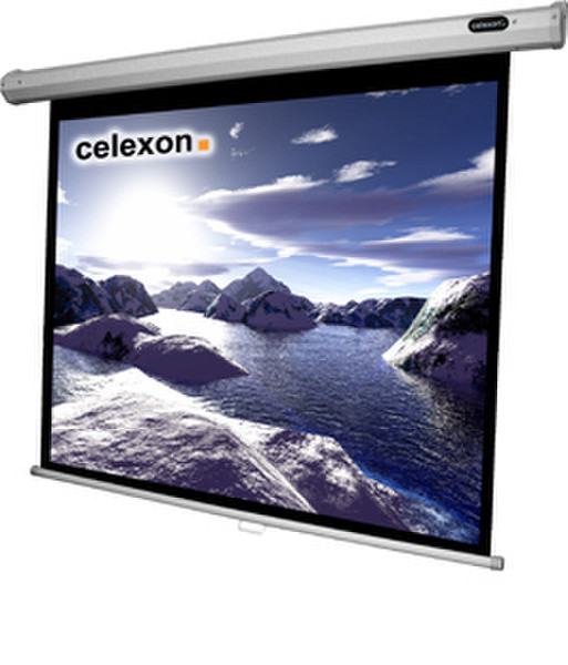 Celexon 1090036 4:3 Black,White projection screen