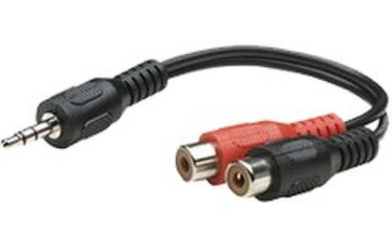 Astrotek 0.25m RCA/3.5mm Cable 0.25m 3.5mm 2 x RCA Black audio cable