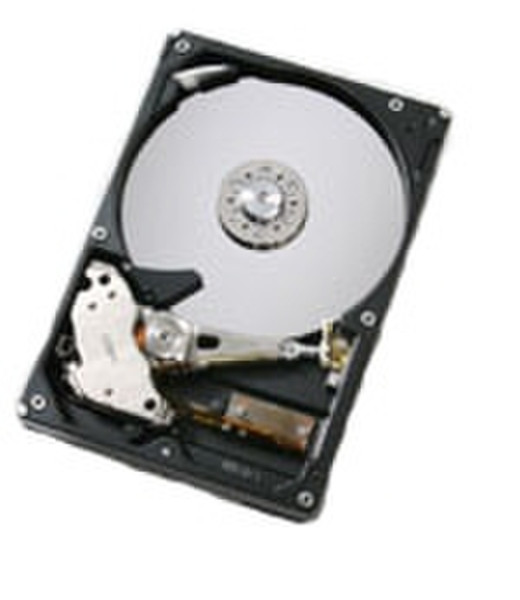 Hitachi Deskstar T7K250 250GB Serial ATA II internal hard drive