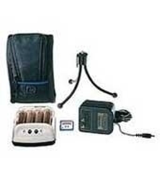 HP Digital Camera Travel Accessory Kit DSCA40 док-станция для фотоаппаратов