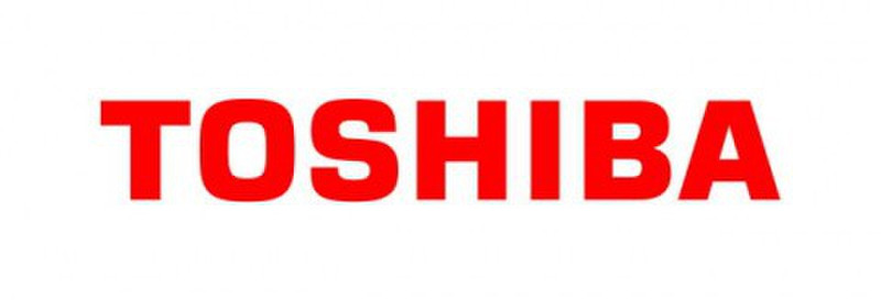 Toshiba ABCS1A Ladegerät