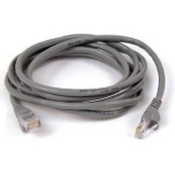 Cable Company UTP Patch Cable 50m Grau Netzwerkkabel