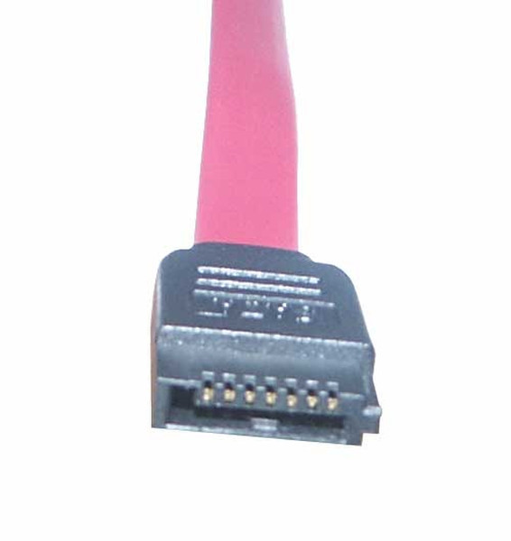 Conceptronic Serial ATA Cable - 0.5m 0.5m SATA cable