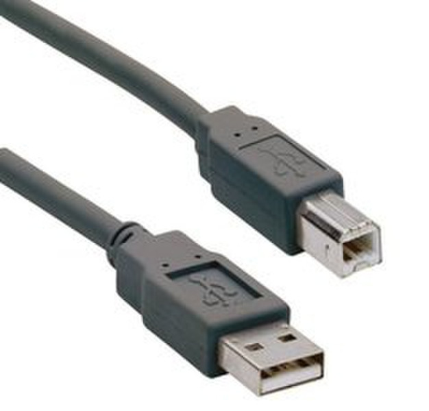 Ednet USB A - USB B 3 m 3m USB A USB B Black USB cable