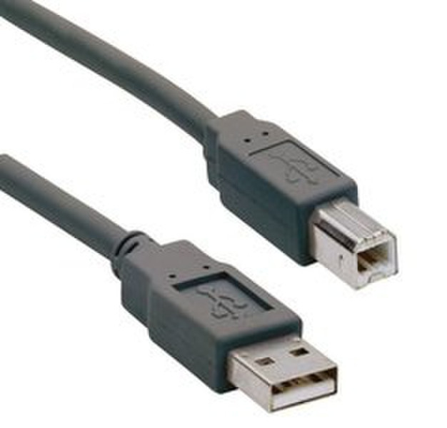 Ednet USB A - USB B 3 m 3m USB A USB B Schwarz USB Kabel