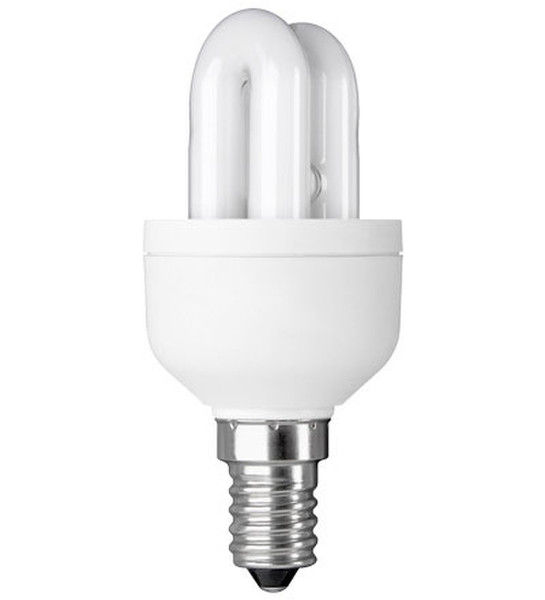 Wentronic 9672 9W fluorescent bulb