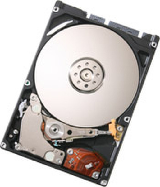 HGST Travelstar 500GB 500GB SATA Interne Festplatte