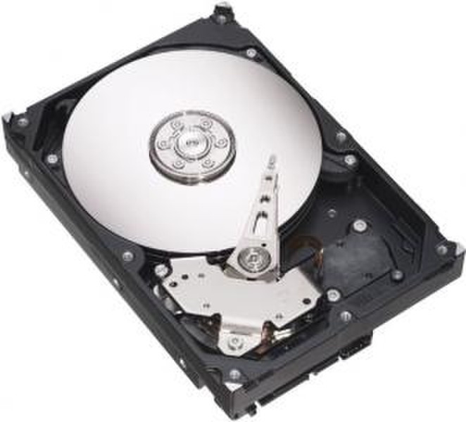 Seagate Desktop HDD Barracuda 7200.9 SATA, 250GB 20pk 250GB Serial ATA II internal hard drive