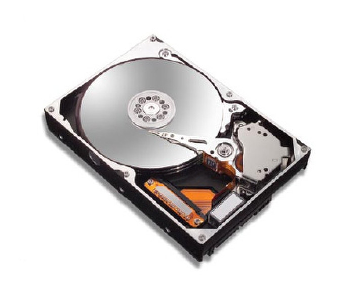 Seagate DiamondMax 10, 160GB ATA133, 8MB buffer 160ГБ Ultra-ATA/133 внутренний жесткий диск