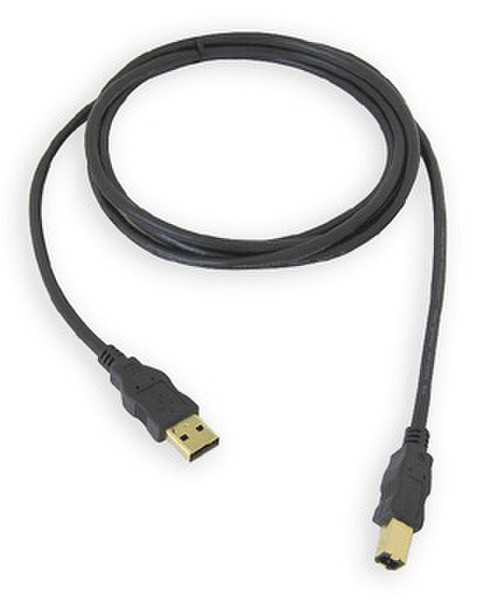 Siig USB A - USB B, 2m 2м USB A USB B Черный кабель USB