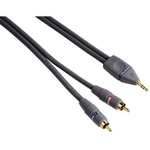 Monster Cable 00120059 2m RCA Schwarz Audio-Kabel