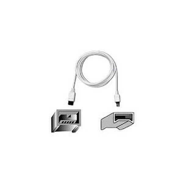 Belkin F3N403CW06-APL 1.8m White firewire cable