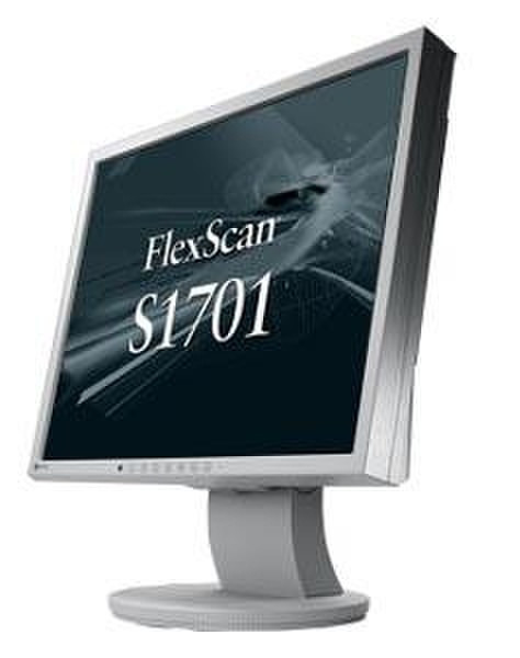 Eizo S1701 17Zoll Grau Computerbildschirm