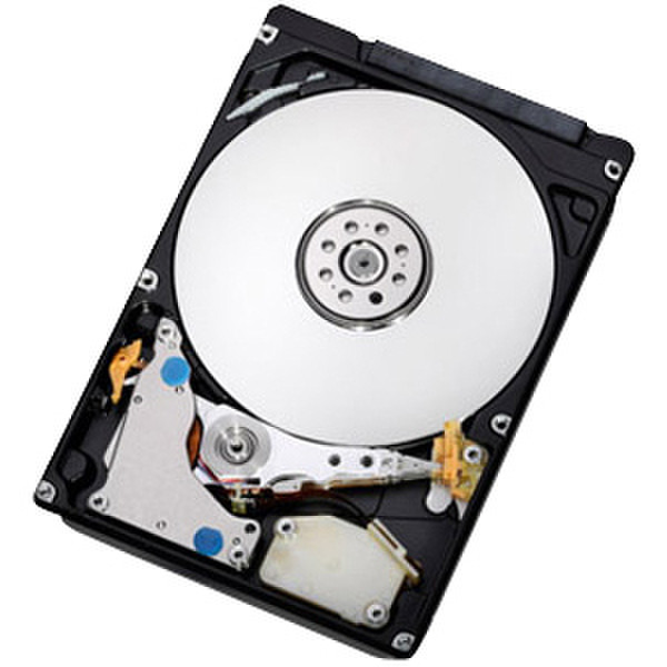 IBM 600GB 600GB SAS internal hard drive