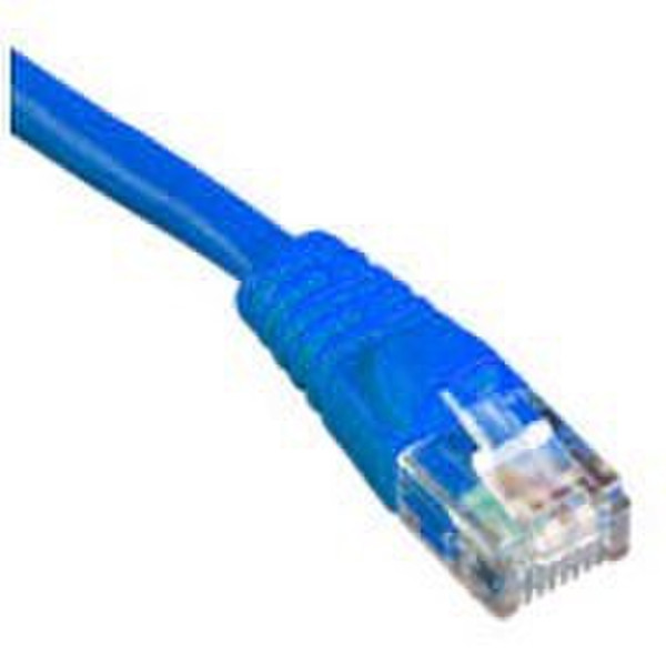 Austin Taylor Cat5e Patch Cords 0.5m Blue 0.5m Blue networking cable