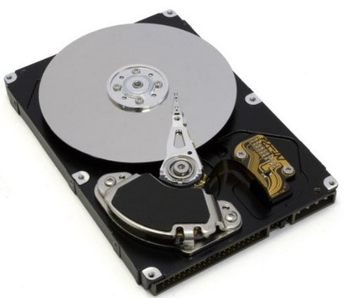 IBM 160GB SATA II 160GB Serial ATA II internal hard drive