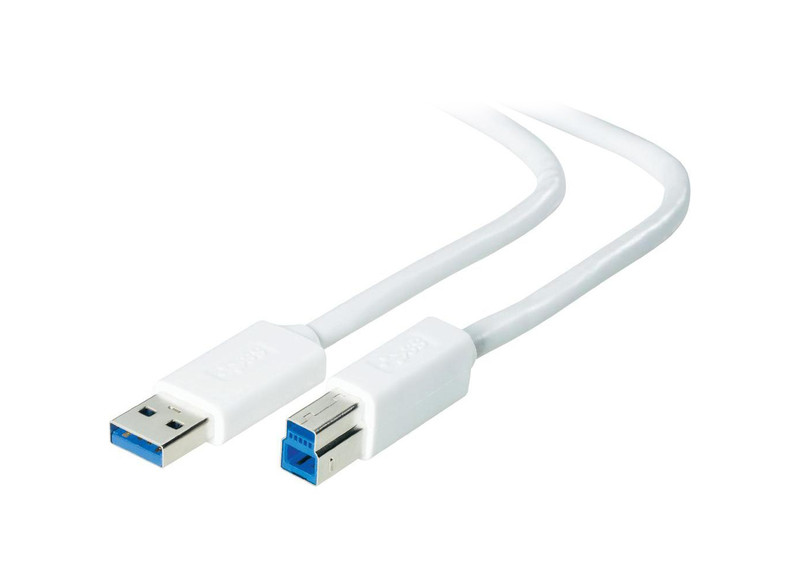Belkin F3U159CP1.8MWHT 1.8m USB A USB B White USB cable