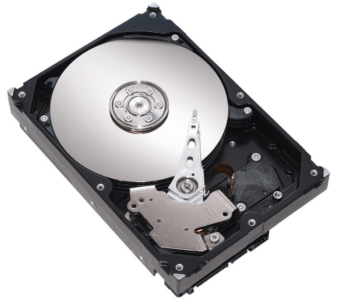 Seagate DiamondMax 21 250GB Ultra-ATA/100 200GB Ultra-ATA/100 Interne Festplatte