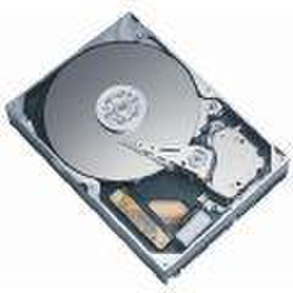 Seagate HD MaxLine II 300GB UATA133 5400rpm