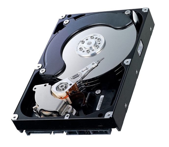 HP 300GB SAS 15000rpm 300GB SAS internal hard drive