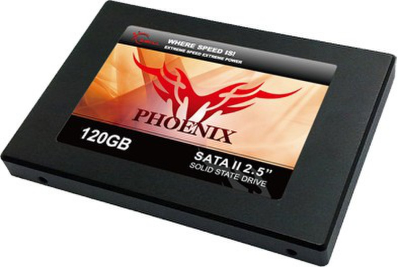 G.Skill 120GB SATA II SSD Serial ATA II solid state drive