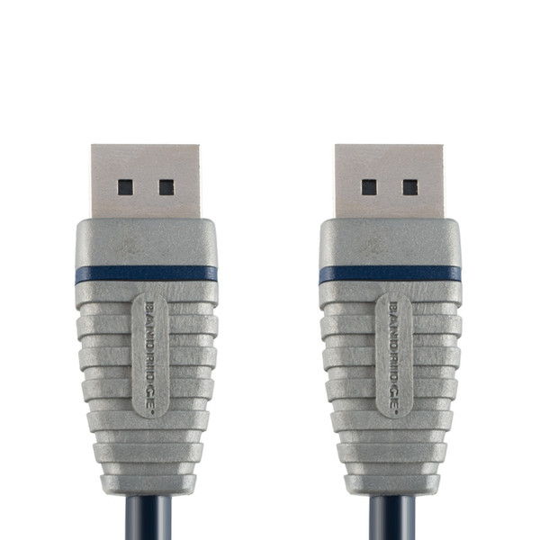 Bandridge BCL2102 2m DisplayPort DisplayPort Schwarz, Silber DisplayPort-Kabel