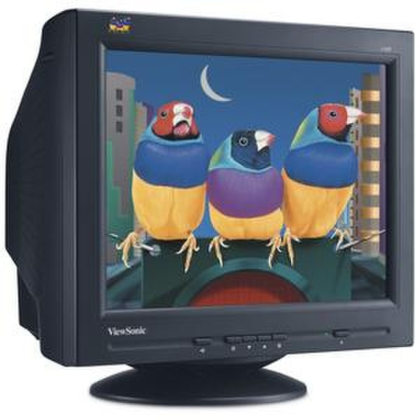 Viewsonic Graphic Series CRT MONITOR G90FB 19Zoll CRT-Monitor