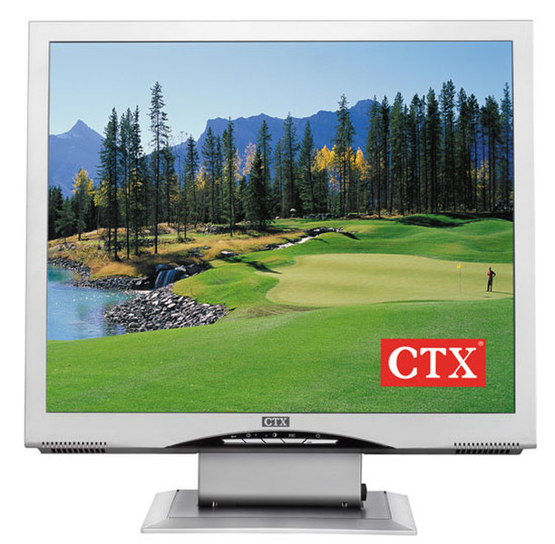 CTX S762A-PG 17Zoll Computerbildschirm
