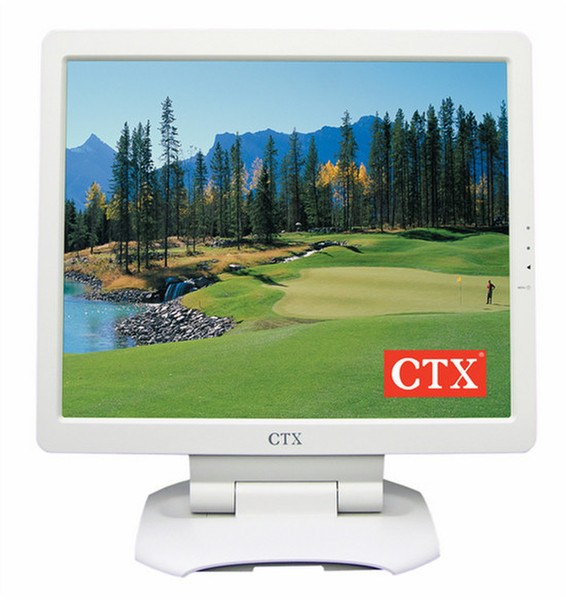 CTX X960A 19Zoll Elfenbein Computerbildschirm