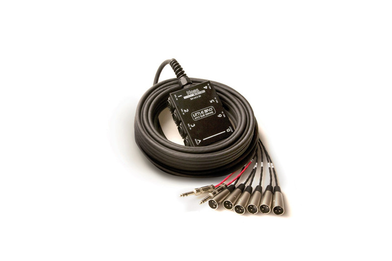Hosa Technology SH-6X2-30 9.1m Black audio cable