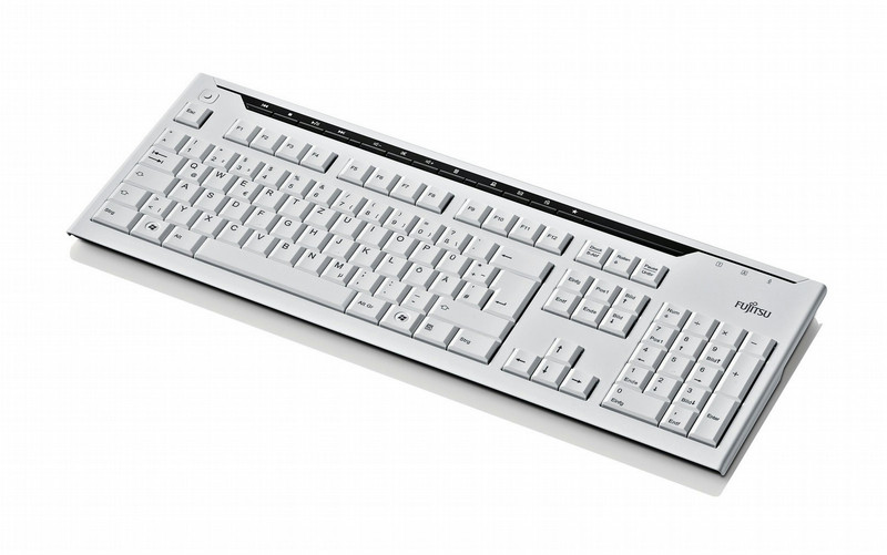 Fujitsu KB520 USB Финский, Шведский Серый клавиатура