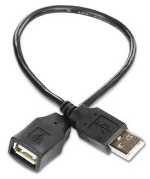 Kodak USB - USB Cable 0.3м Черный кабель USB
