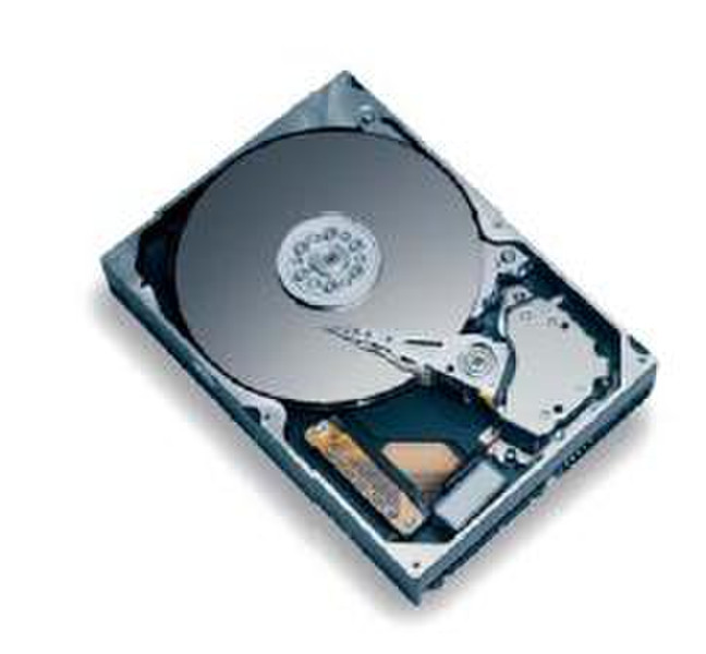 Seagate K HDDiaMxP9 120GBATA133 7200 8MB20pkbulk 120GB Ultra-ATA/133 Interne Festplatte