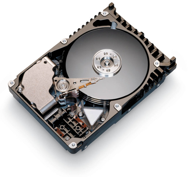 Seagate K HDAtl10KIII 73GBU320 68pin10 20pkbulk 73GB Ultra-ATA/133 Interne Festplatte