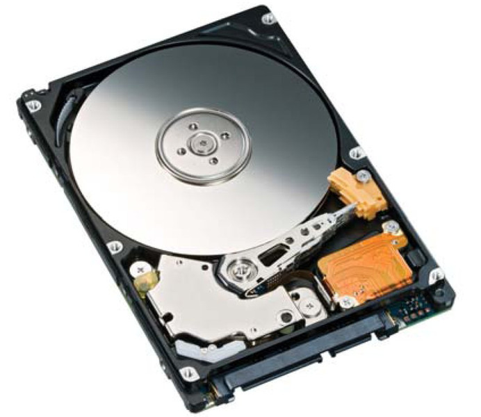 Fujitsu MHZ2320BJ 320GB 320GB Serial ATA II internal hard drive